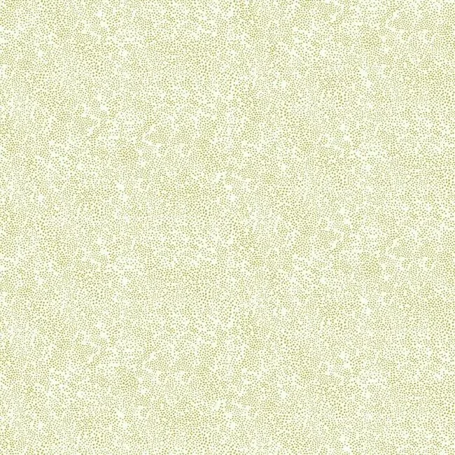 RI5112 | Champagne Dots Gold & White Wallpaper