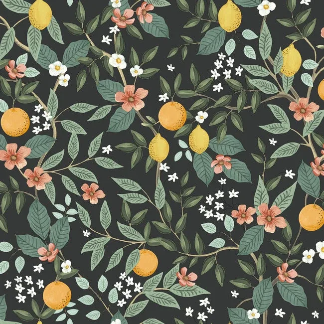 PSW1482RL | Citrus Grove Black Peel & Stick Wallpaper