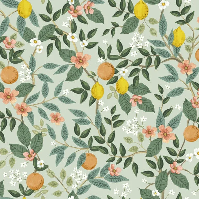 PSW1480RL | Citrus Grove Mint Peel & Stick Wallpaper