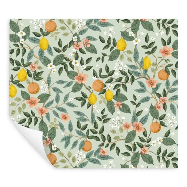 York Wallcoverings Citrus Grove Mint Peel & Stick Wallpaper - SKU PSW1480RL