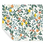 York Wallcoverings Citrus Grove White Peel & Stick Wallpaper - SKU PSW1479RL