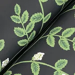 York Wallcoverings Climbing Vine Black Wallpaper - SKU RF7422