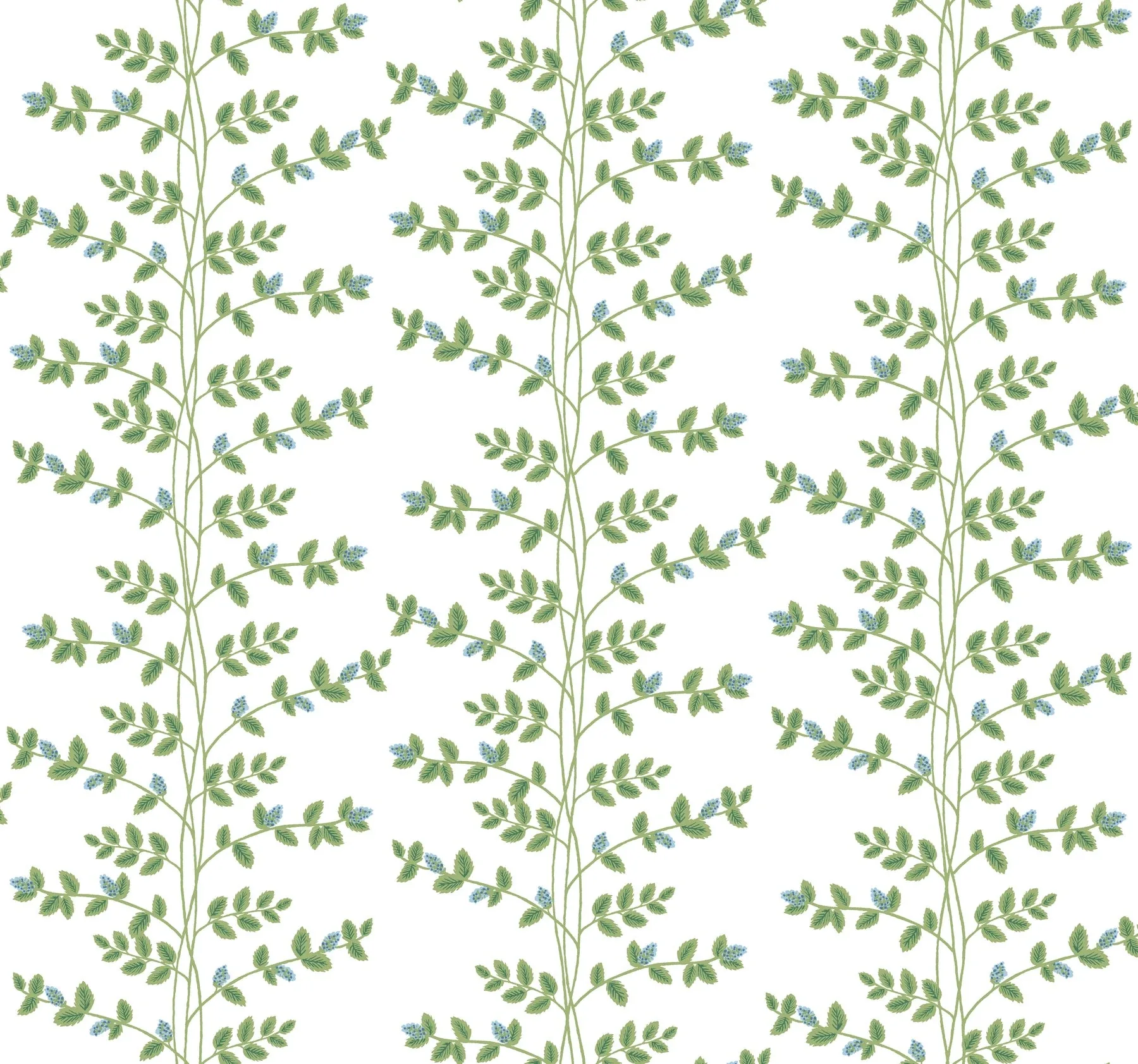 RF7425 | Climbing Vine Blue Wallpaper