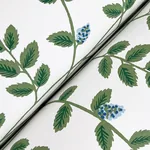 York Wallcoverings Climbing Vine Blue Wallpaper - SKU RF7425