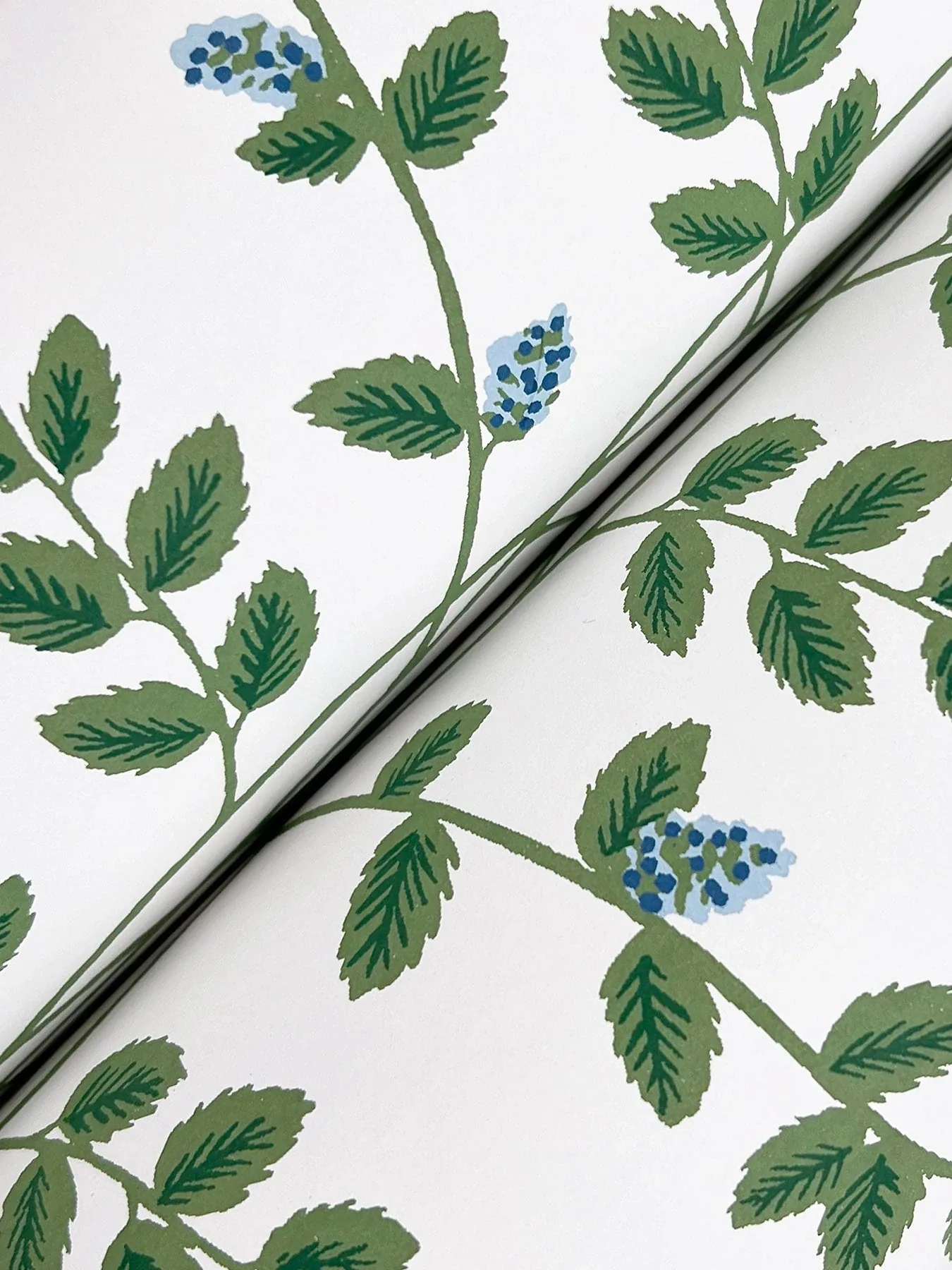 York Wallcoverings Climbing Vine Blue Wallpaper - SKU RF7425