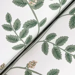 York Wallcoverings Climbing Vine Gold Wallpaper - SKU RF7424