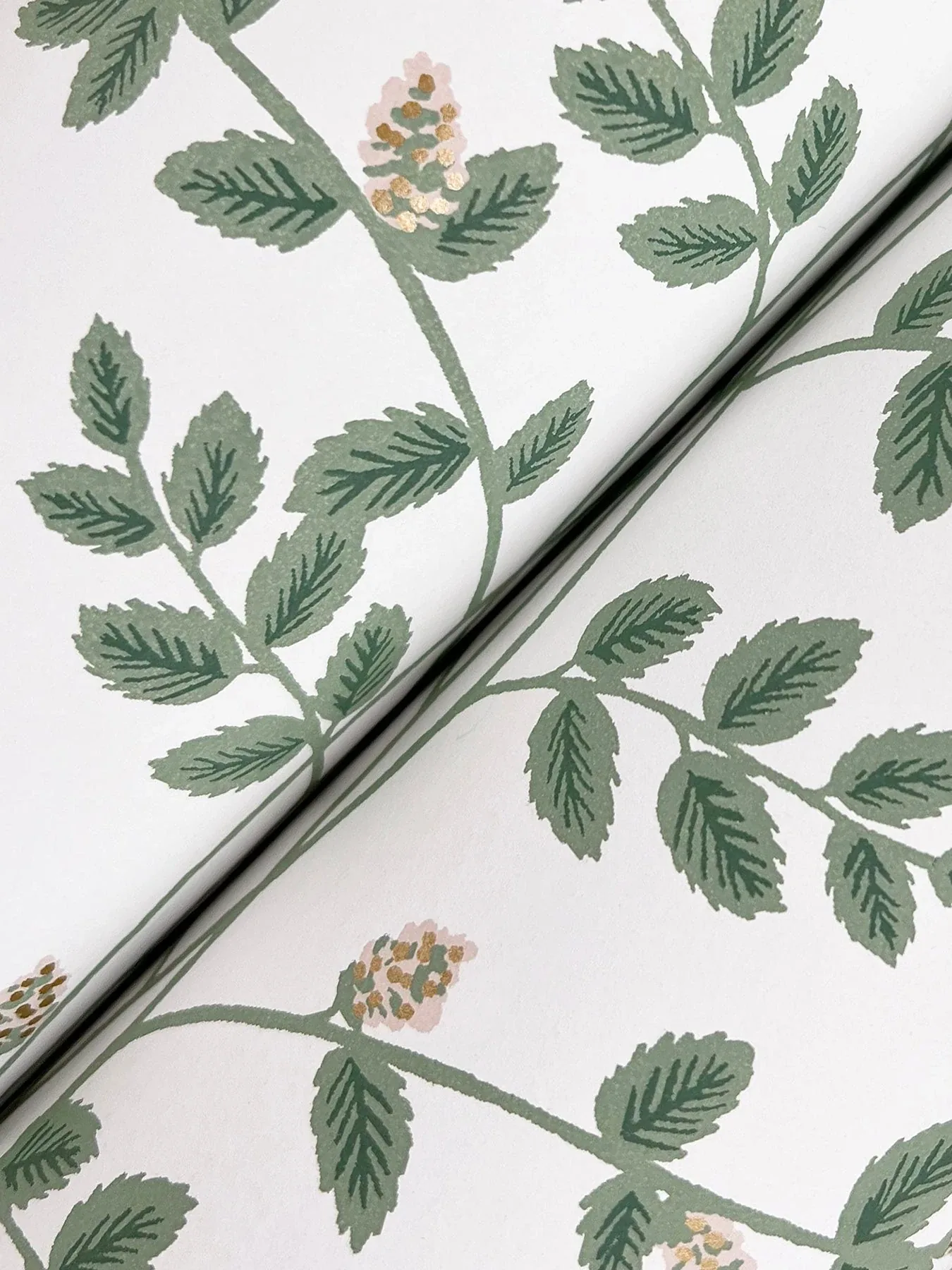 York Wallcoverings Climbing Vine Gold Wallpaper - SKU RF7424