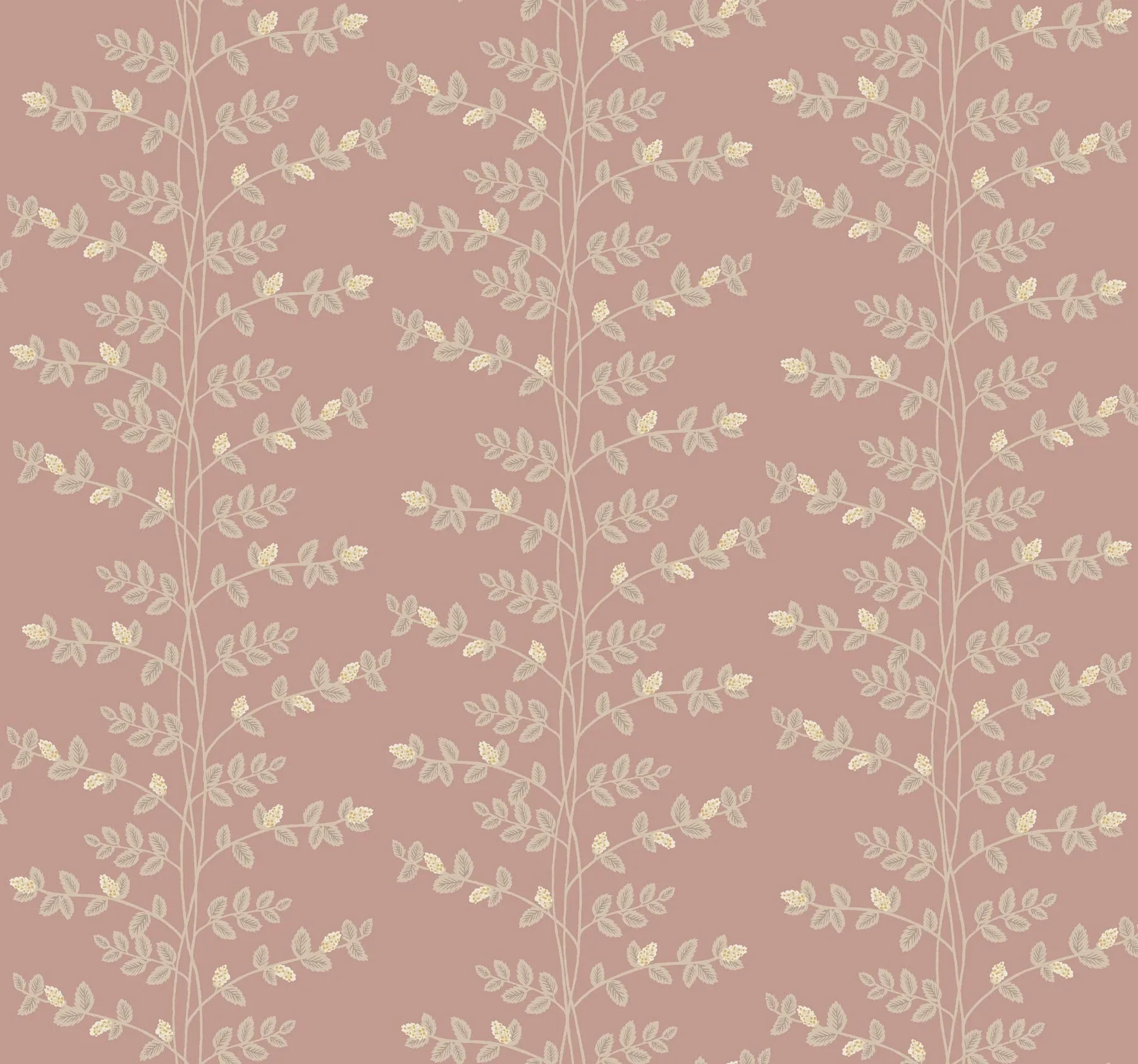 RF7426 | Climbing Vine Rose Wallpaper