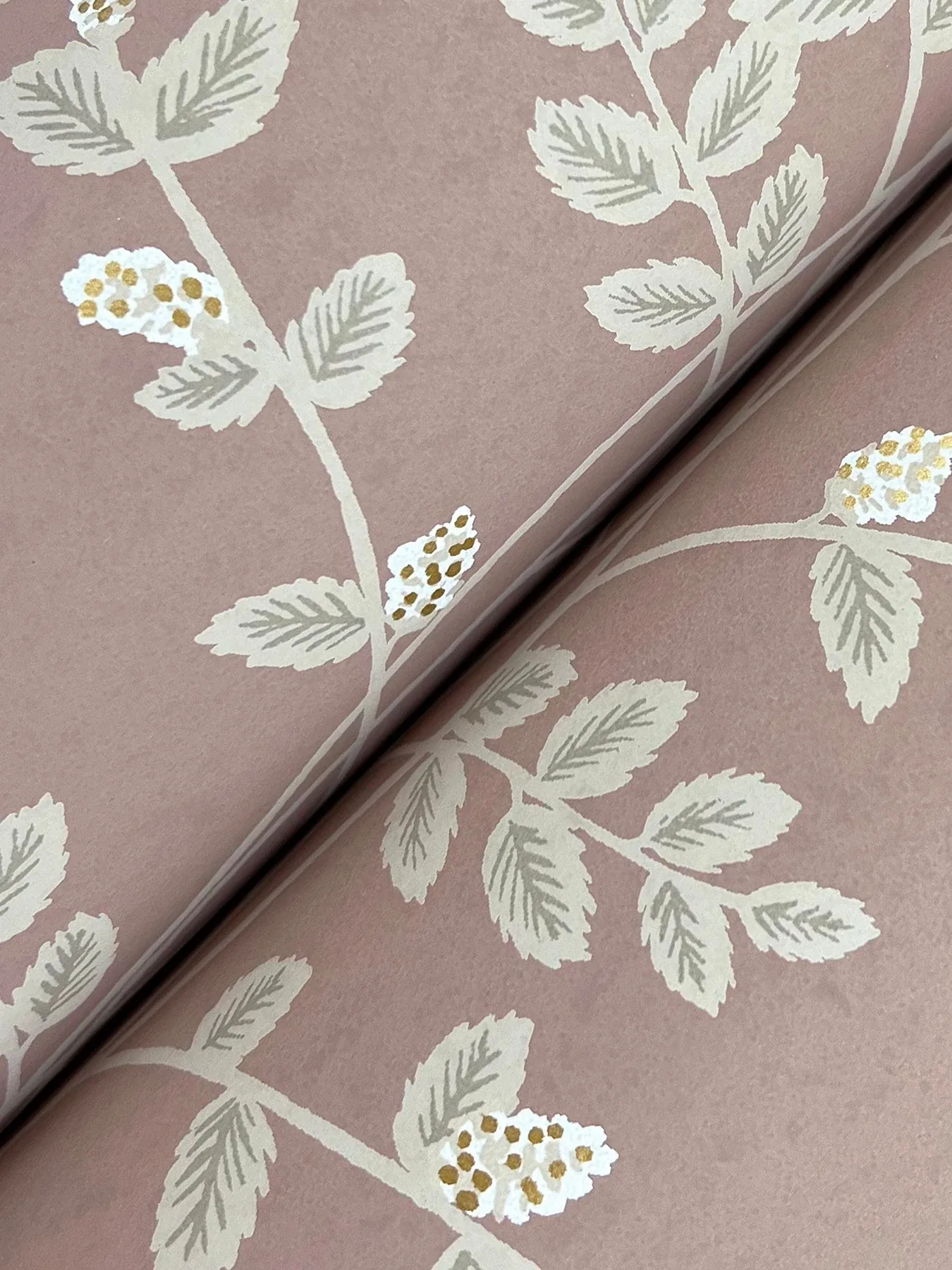 York Wallcoverings Climbing Vine Rose Wallpaper - SKU RF7426