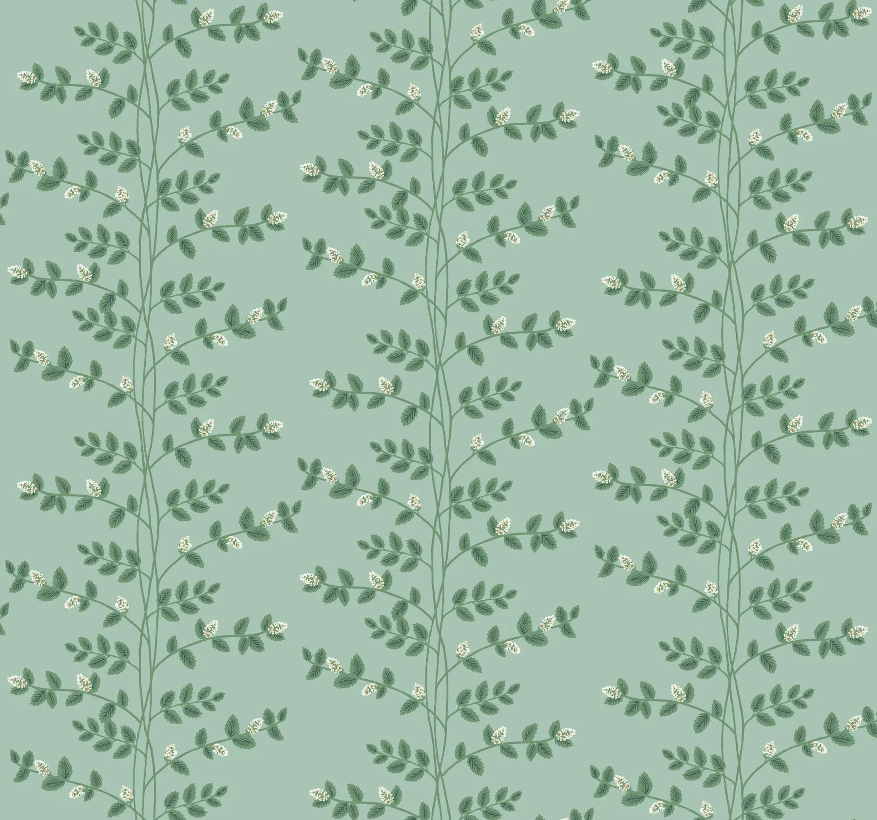 York Wallcoverings Climbing Vine Soft Teal Wallpaper - SKU RF7421