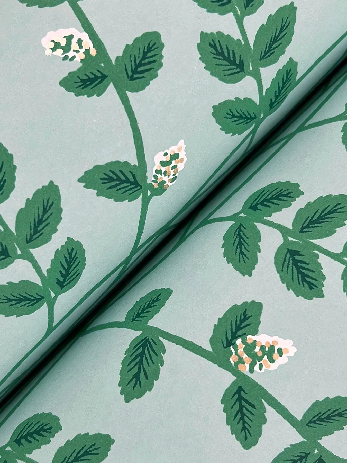 York Wallcoverings Climbing Vine Soft Teal Wallpaper - SKU RF7421