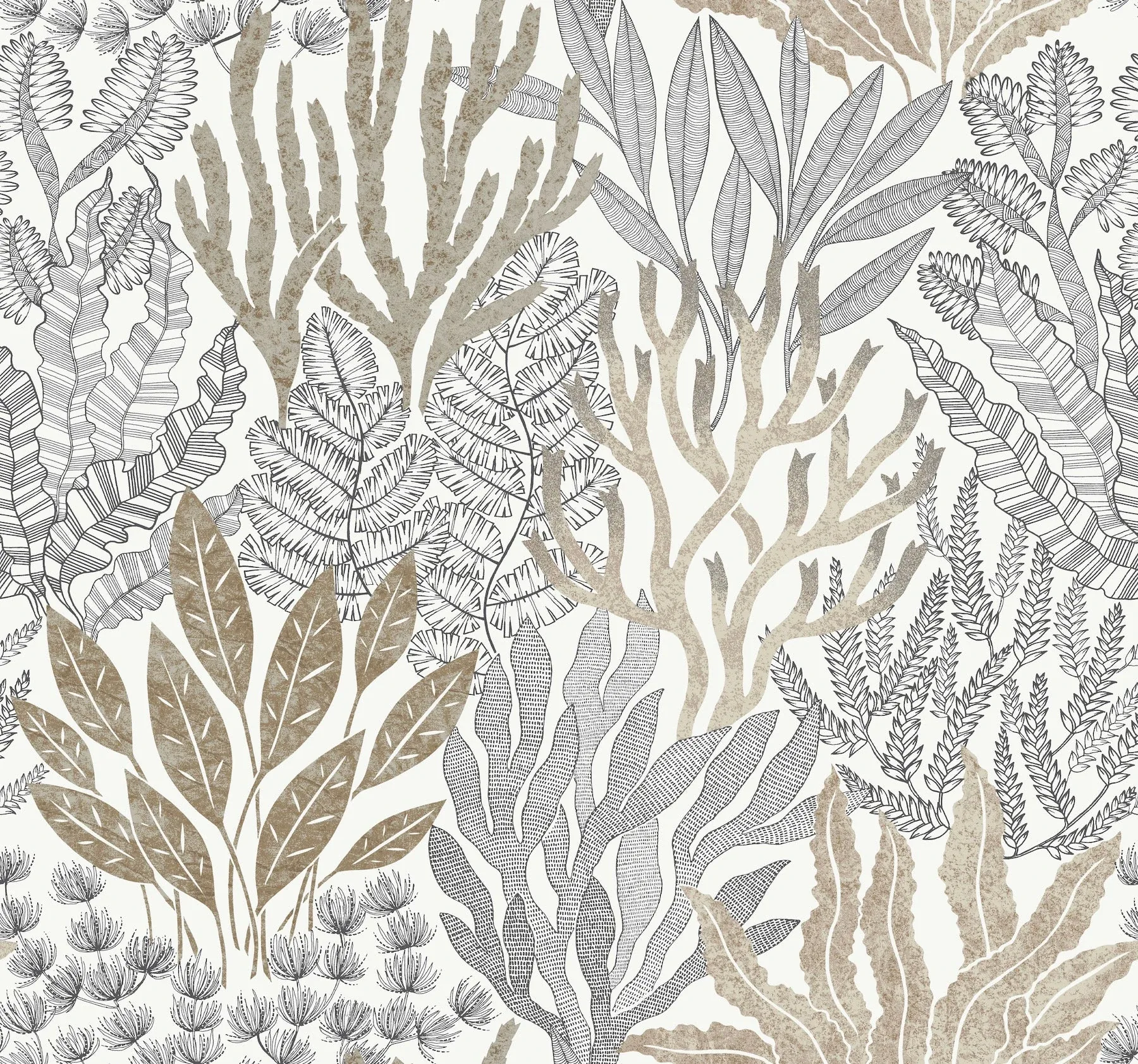 York Wallcoverings Coral Leaves Taupe & Black Wallpaper - SKU RT7802