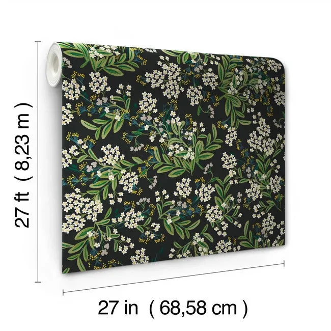 York Wallcoverings Cornflower Black & Green Wallpaper - SKU RP7384