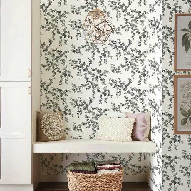 York Wallcoverings Creeping Fig Vine Black & White Wallpaper - SKU FH4038