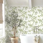 York Wallcoverings Creeping Fig Vine Green Wallpaper - SKU FH4036
