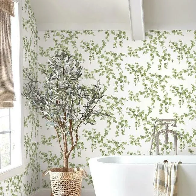 York Wallcoverings Creeping Fig Vine Green Wallpaper - SKU FH4036