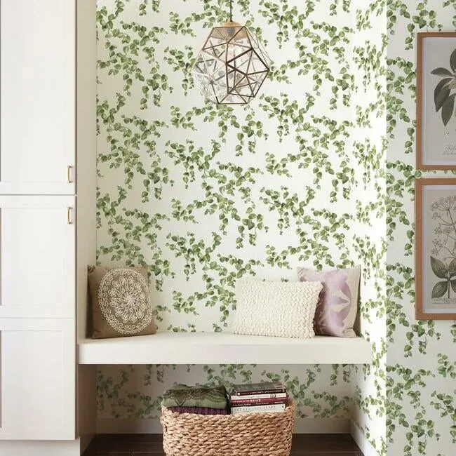 York Wallcoverings Creeping Fig Vine Green Wallpaper - SKU FH4036