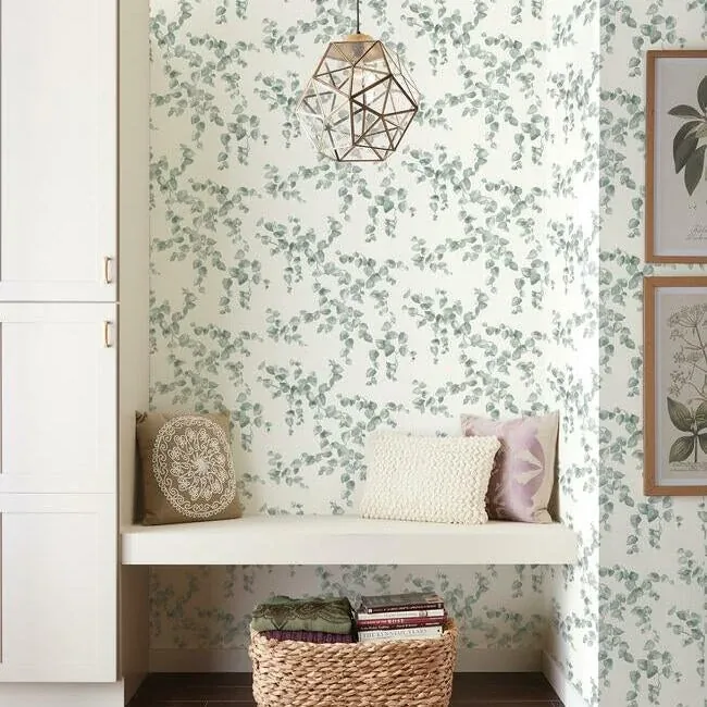 York Wallcoverings Creeping Fig Vine Sage Wallpaper - SKU FH4037