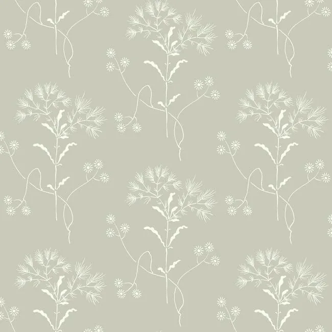 York Wallcoverings Cupola Wildflower Light Grey & White Wallpaper - SKU ME1516