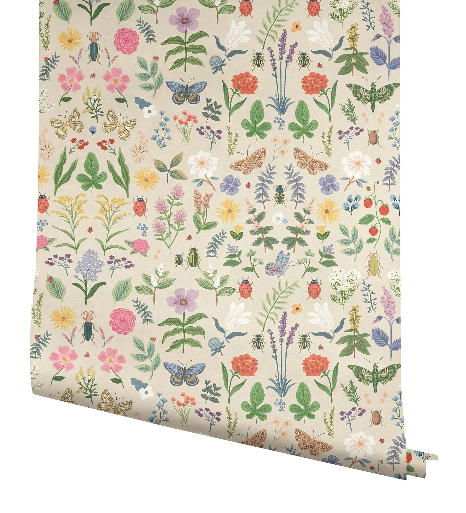 York Wallcoverings Curio Cream Peel & Stick Wallpaper | Wallpaper Twins York Wallcoverings Curio Cream Peel & Stick Wallpaper - SKU PSW1542RL