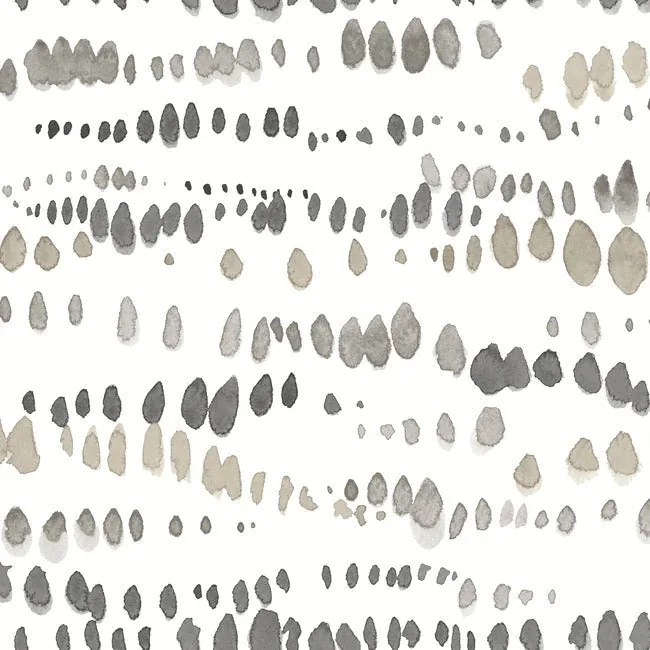 York Wallcoverings Dewdrops Black & Taupe Wallpaper - SKU AG2046