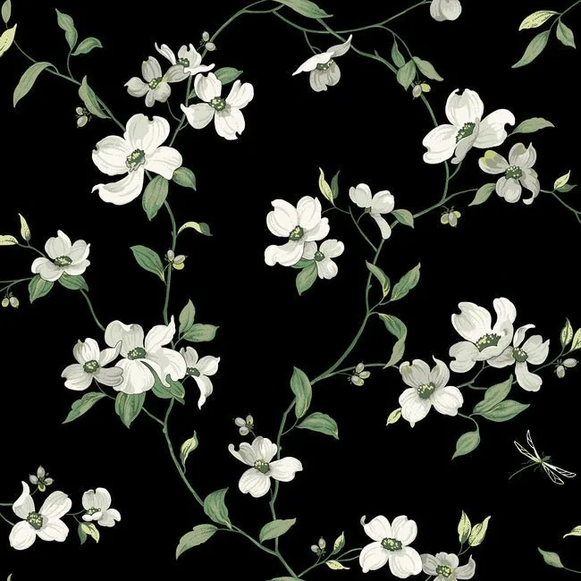 BL1764 | Dogwood Black Wallpaper
