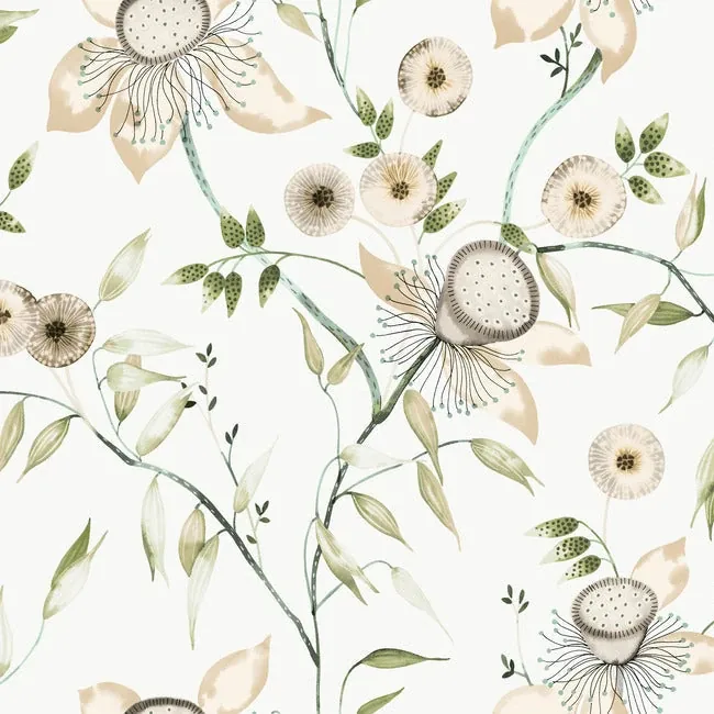 York Wallcoverings Dream Blossom White & Green Wallpaper - SKU BL1793
