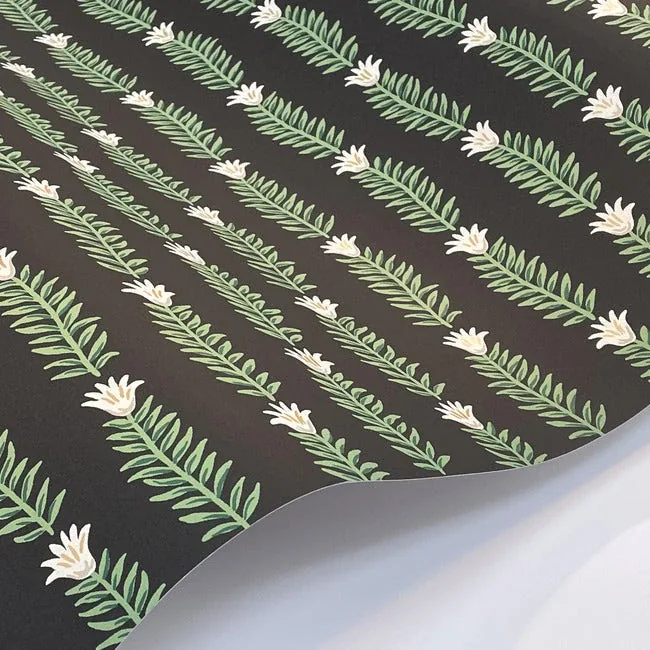 York Wallcoverings Eden Black & Green Wallpaper - SKU RP7344