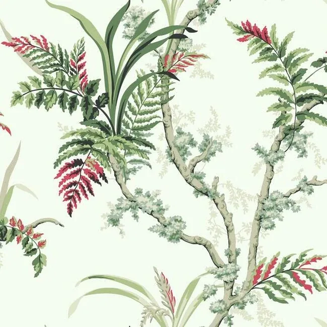 GR5993 | Enchanted Fern Green & Red Wallpaper