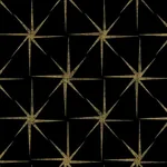 York Wallcoverings Evening Star Black Wallpaper - SKU GR5941