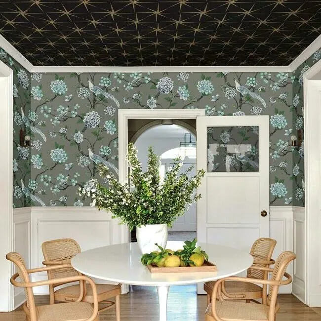 York Wallcoverings Evening Star Black Wallpaper - SKU GR5941
