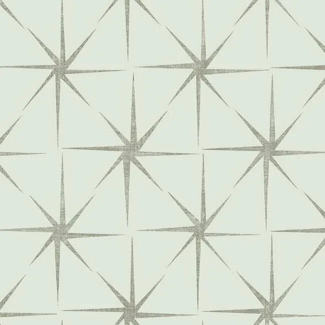 GR5943 | Evening Star Silver Wallpaper