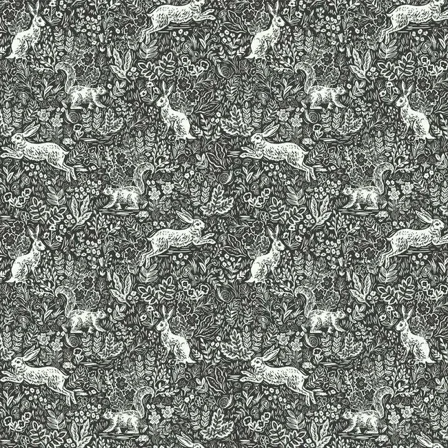 York Wallcoverings Fable Black & White Wallpaper - SKU RI5105