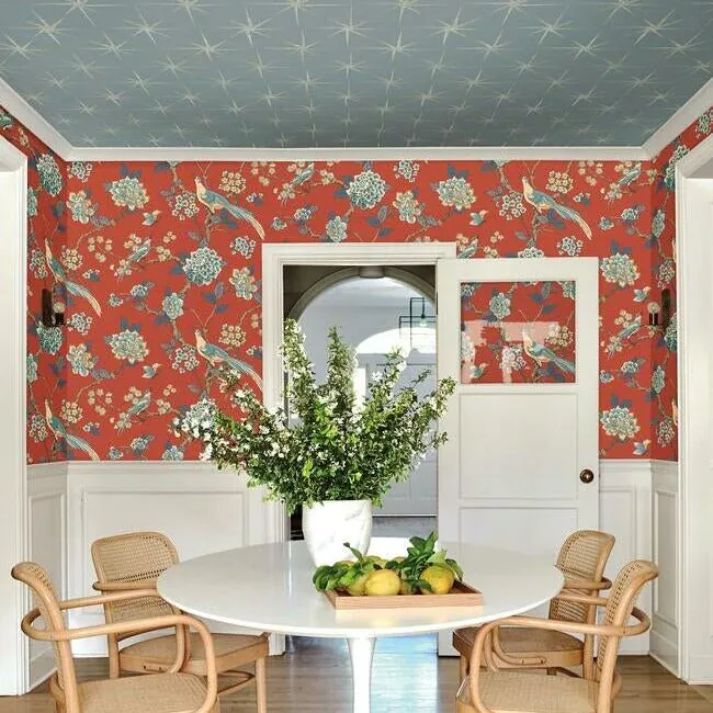 York Wallcoverings Fanciful Orange Wallpaper - SKU AF1902