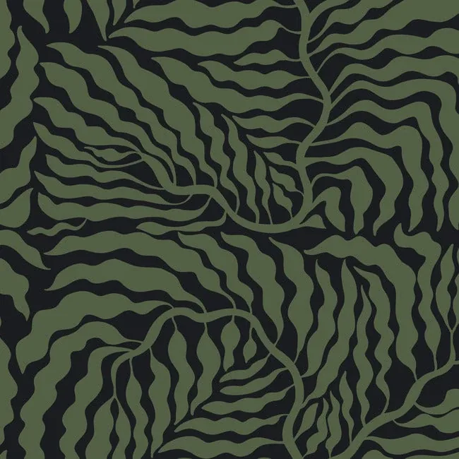 York Wallcoverings Fern Fronds Black & Green Wallpaper - SKU AG2061