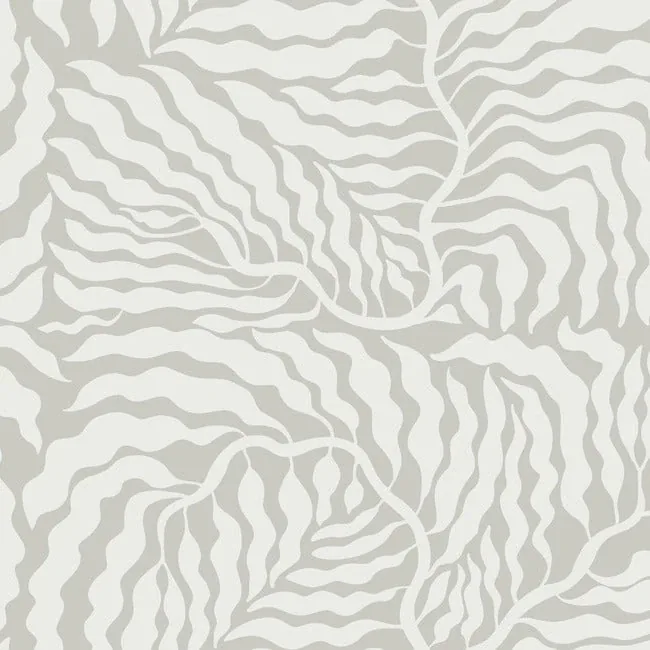 AG2064 | Fern Fronds Grey & White Wallpaper