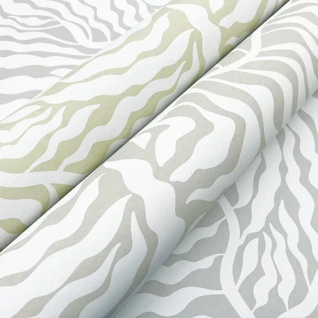 York Wallcoverings Fern Fronds Grey & White Wallpaper - SKU AG2064