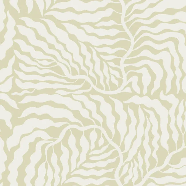 AG2065 | Fern Fronds Light Green & White Wallpaper