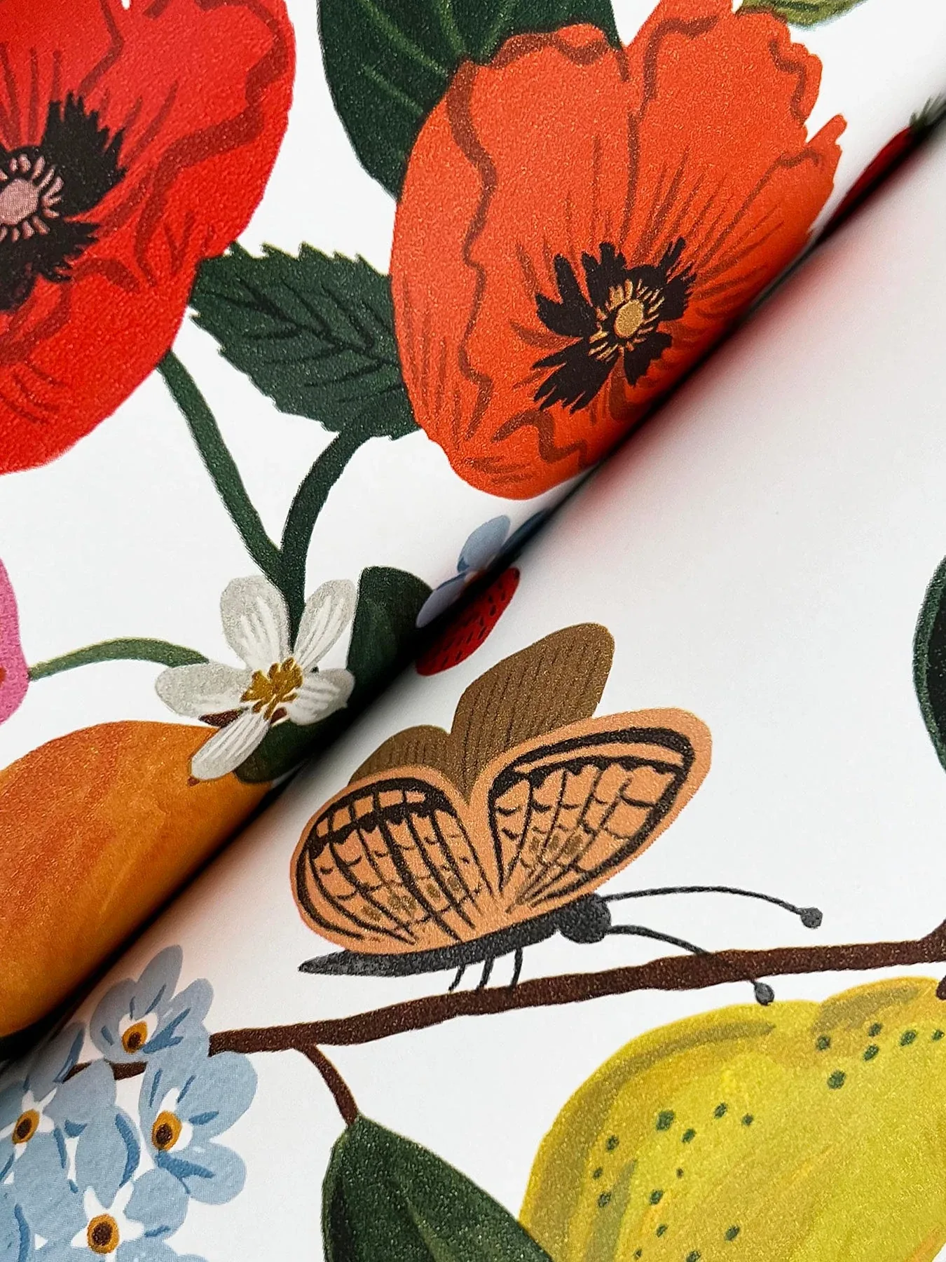 York Wallcoverings Flower Studies Bright Wallpaper - SKU RF7402