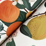 York Wallcoverings Flower Studies Rose Wallpaper - SKU RF7404