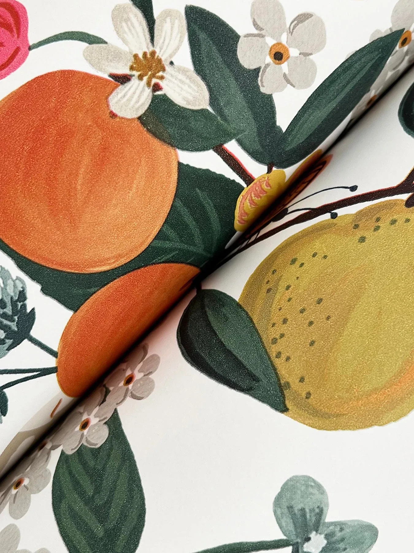 York Wallcoverings Flower Studies Rose Wallpaper - SKU RF7404