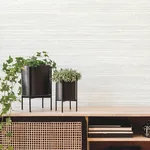York Wallcoverings Fountain Grass Ivory Wallpaper - SKU AG2087