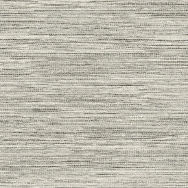 GO8304 | Fountain Grass Onyx Wallpaper