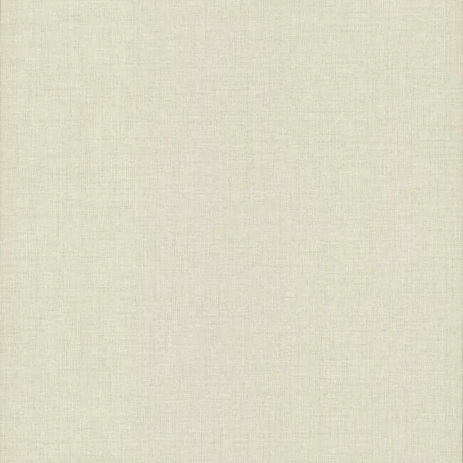 5980 | Gesso Weave Ivory Wallpaper