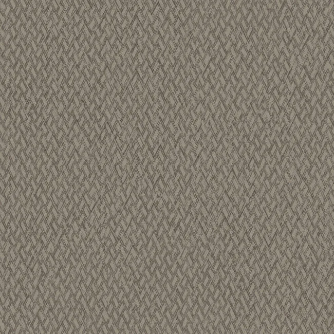 ND3025N | Give & Take Brown Wallpaper
