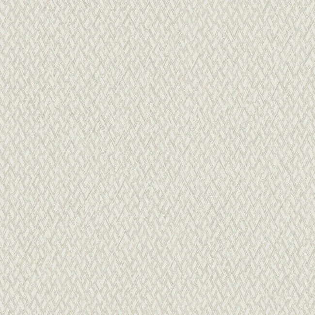 ND3021N | Give & Take Light Beige Wallpaper