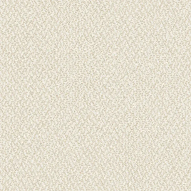 ND3023N | Give & Take Light Beige Wallpaper