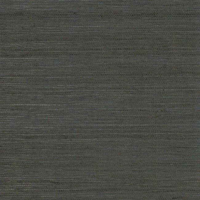 York Wallcoverings Grass Grey & Black Wallpaper - SKU VG4409MH