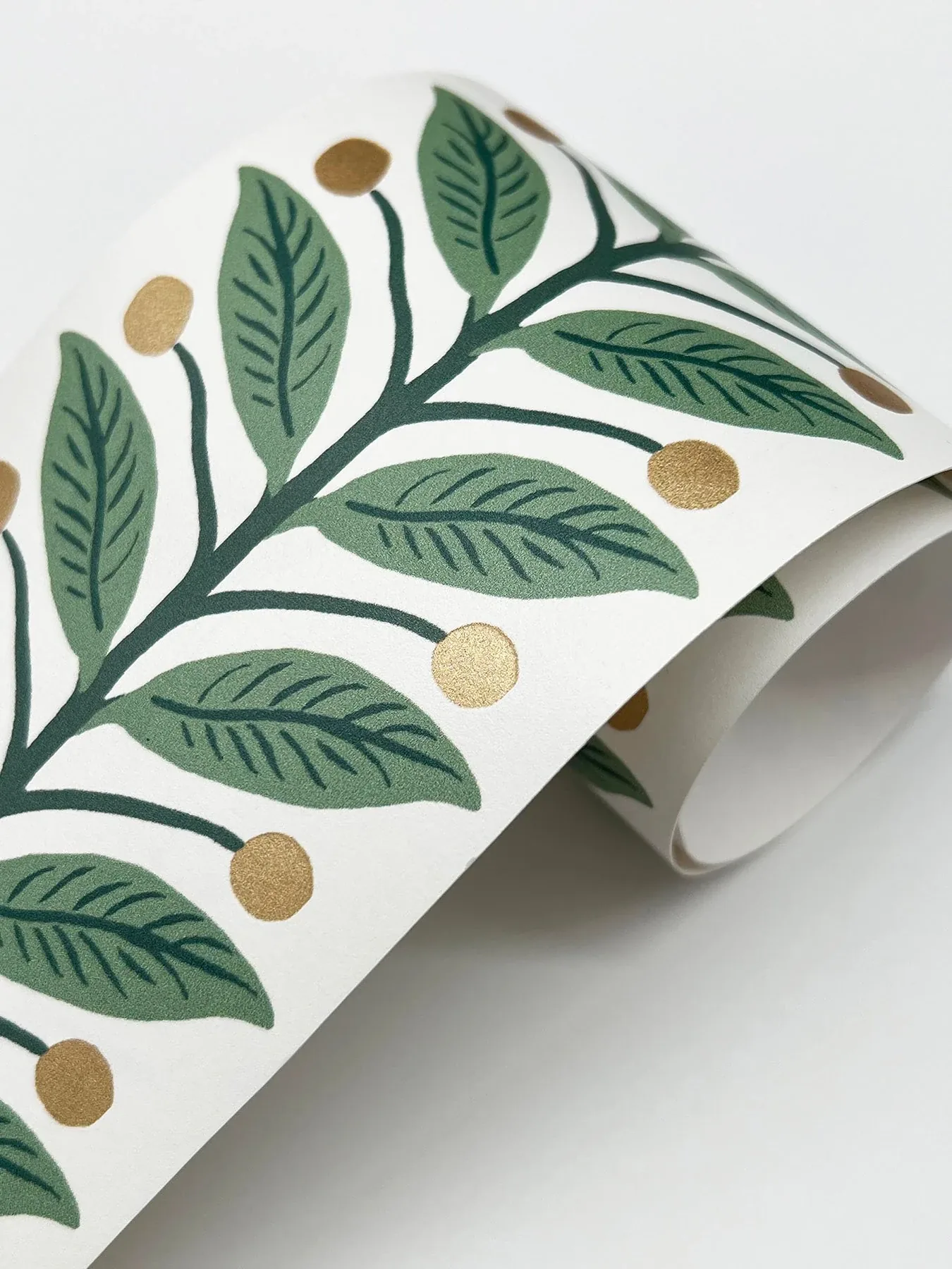 York Wallcoverings Green Garden Wallpaper Trim - SKU RF7531B