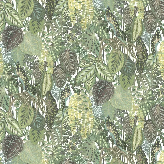 York Wallcoverings Greenery Cotton Wall Mural - SKU GO8332M